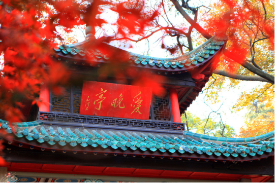 &#19975;&#35937;&#22478;&#20307;&#32946;&#45;&#19975;&#35937;&#22478;&#65288;&#20013;&#22269;&#65289;&#20844;&#21496;