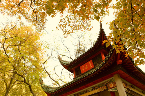 &#19975;&#35937;&#22478;&#20307;&#32946;&#45;&#19975;&#35937;&#22478;&#65288;&#20013;&#22269;&#65289;&#20844;&#21496;