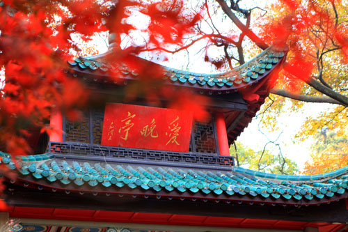 &#19975;&#35937;&#22478;&#20307;&#32946;&#45;&#19975;&#35937;&#22478;&#65288;&#20013;&#22269;&#65289;&#20844;&#21496;